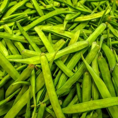 Guar Gum Manufacturers in Pakistan