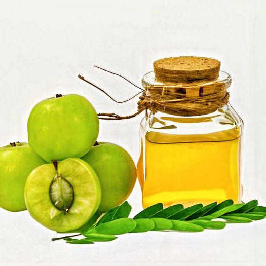 Gooseberry Extract Manufacturers, Suppliers, Exporters in Pakistan