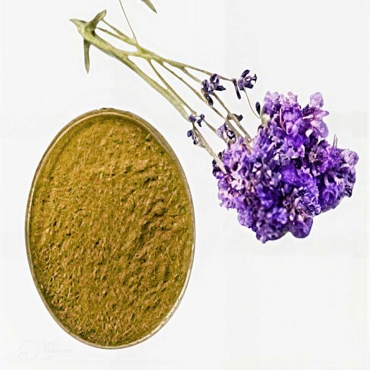 Lavender Powder Manufacturers, Suppliers, Exporters in Pakistan