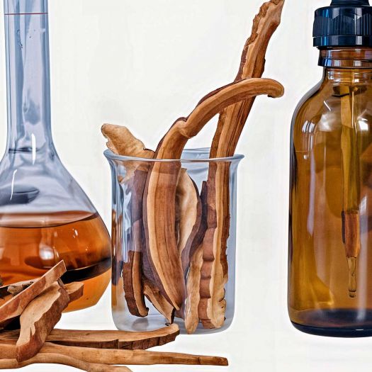 Mushroom Extract Manufacturers, Suppliers, Exporters in Pakistan