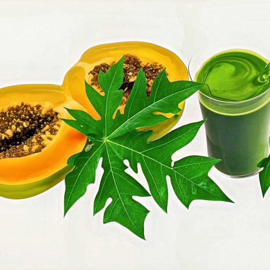 Papaya Leaf Extract Manufacturers, Suppliers, Exporters in Pakistan