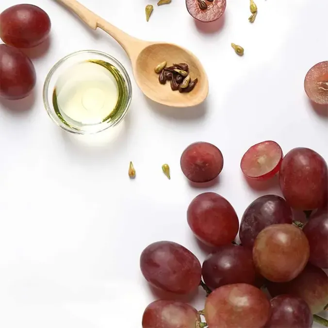 Organic Essential Oils in Bologna